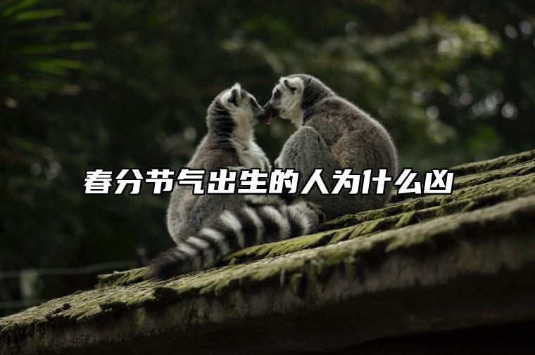 春分节气出生的人为什么凶 有什么样的性格特点