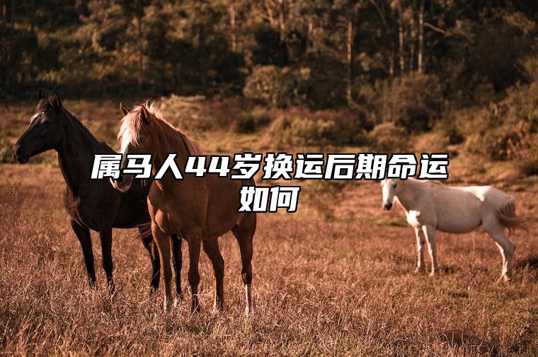 属马人44岁换运后期命运如何 1978年属马44岁后会大富大贵