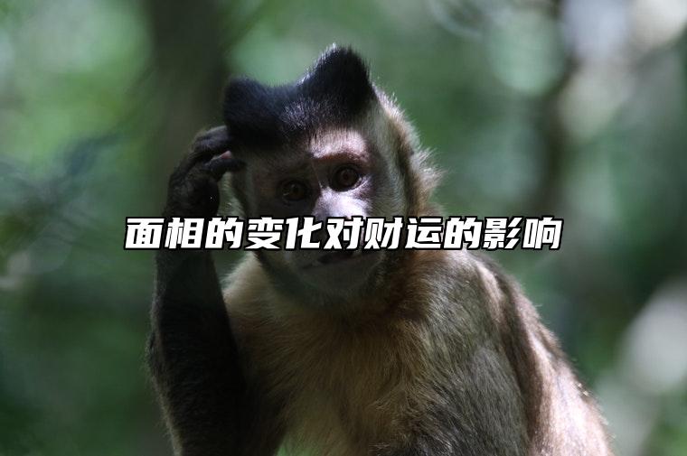 面相的变化对财运的影响