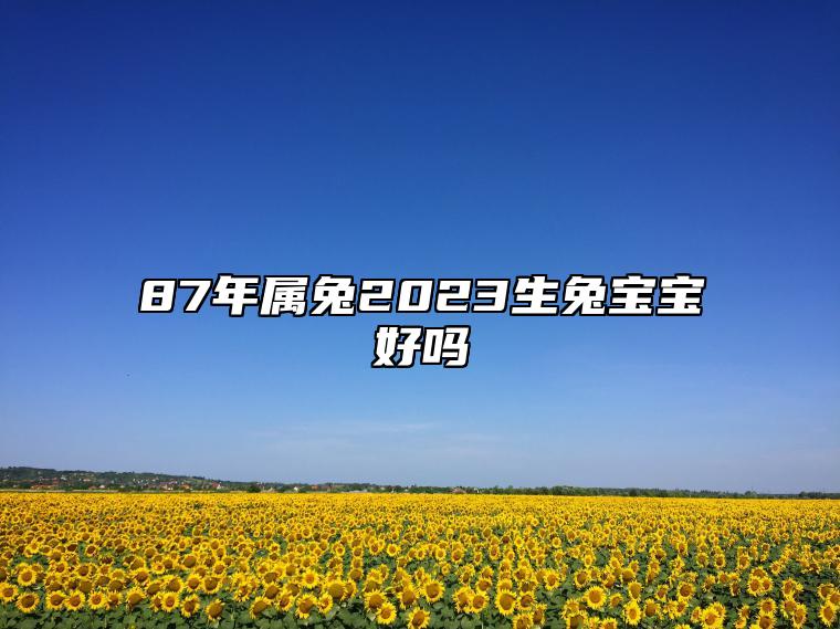 87年属兔2023生兔宝宝好吗 87年属兔人本命年犯太岁