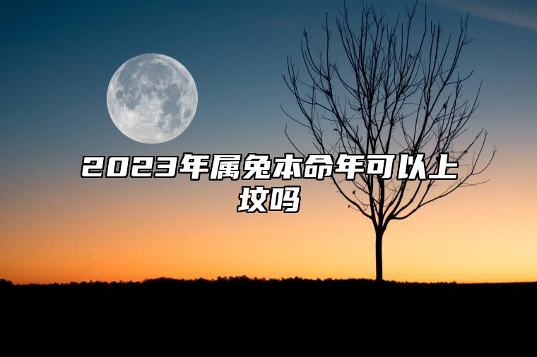 2023年属兔本命年可以上坟吗 属兔人2023年本命年忌什么