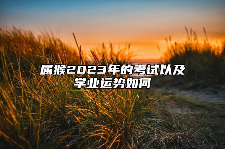 属猴2023年的考试以及学业运势如何 属猴人2023年如何提升学业运势