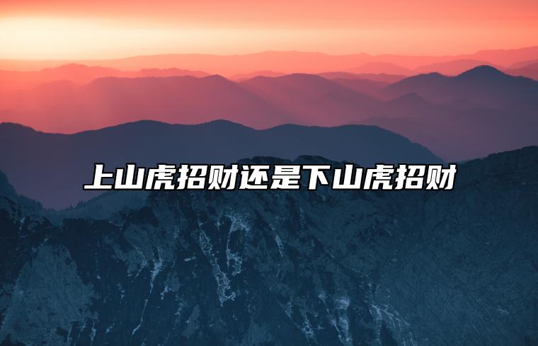 上山虎招财还是下山虎招财 属虎几点出生大富大贵