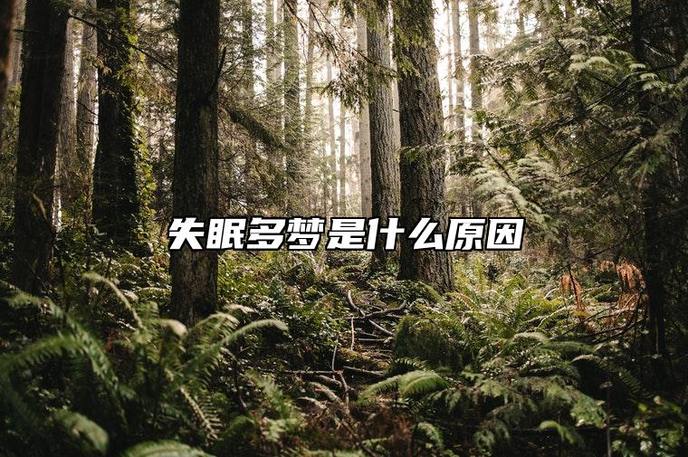失眠多梦是什么原因 怎么做能缓解