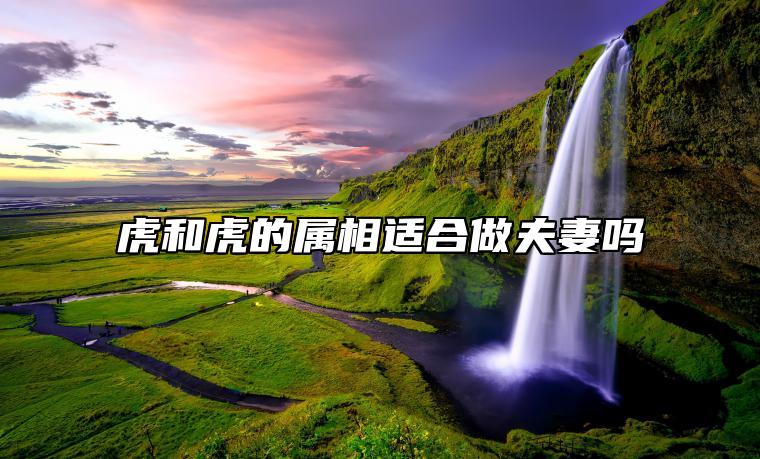 虎和虎的属相适合做夫妻吗 虎和虎的婚姻如何相处