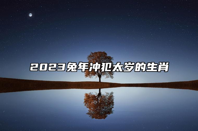 2023兔年冲犯太岁的生肖 生肖龙犯太岁感情危机