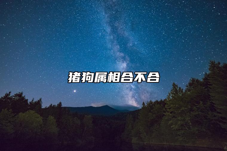 猪狗属相合不合 在婚姻配对上是中等婚配