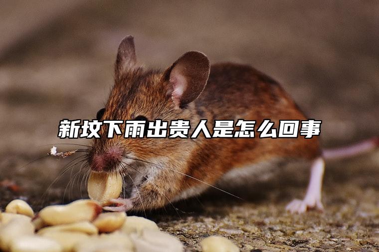 新坟下雨出贵人是怎么回事 新坟下葬还有哪些是好征兆