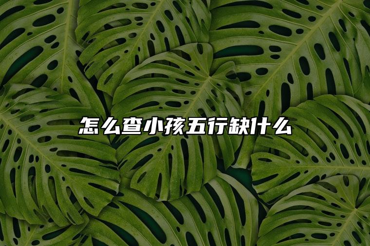 怎么查小孩五行缺什么 五行取名的重要性