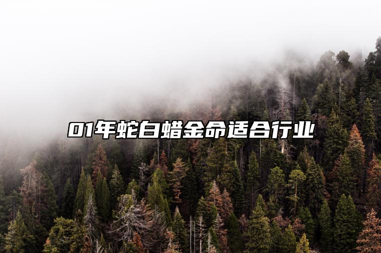 01年蛇白蜡金命适合行业 01年属蛇白蜡金命特点