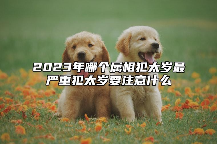 2023年哪个属相犯太岁最严重？犯太岁要注意什么？