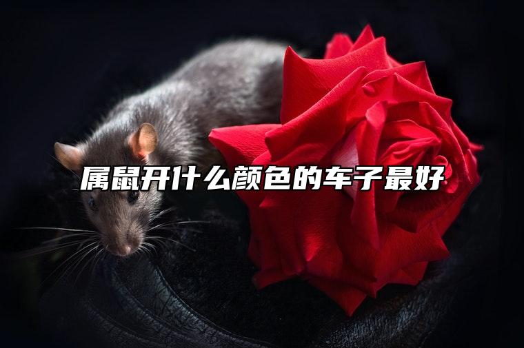 属鼠开什么颜色的车子最好