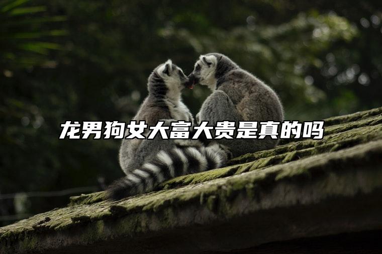 龙男狗女大富大贵是真的吗 龙男狗女怎么化解