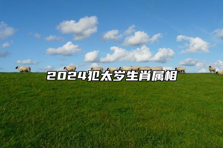 2024犯太岁生肖属相 化解犯太岁最佳方法