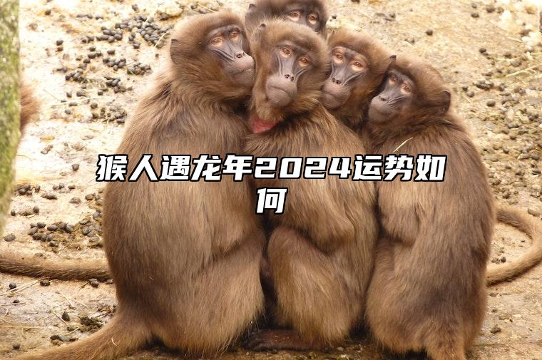 猴人遇龙年2024运势如何 2024属猴终于转运了