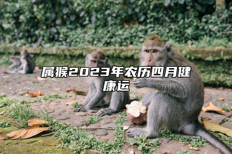 属猴2023年农历四月健康运 属猴2023年幸运方向