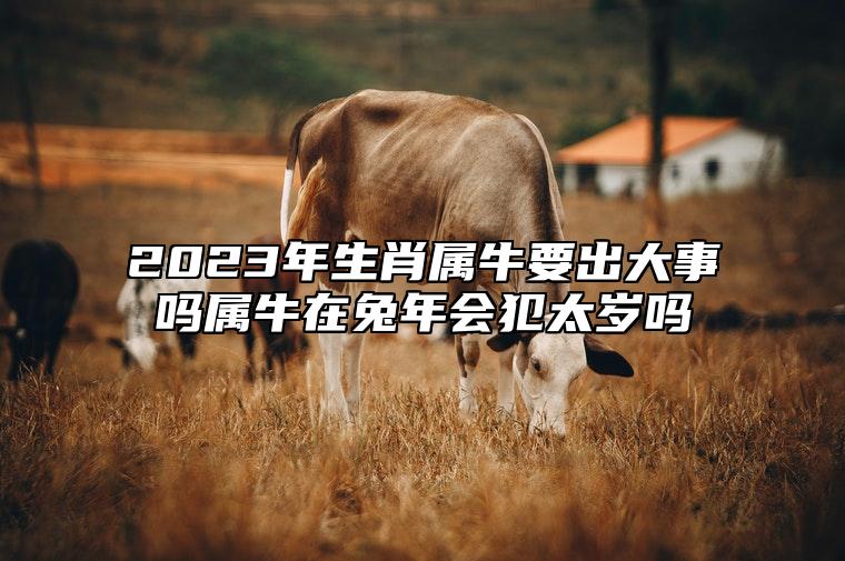 2023年生肖属牛要出大事吗？属牛在兔年会犯太岁吗