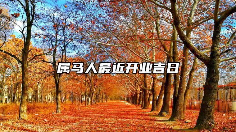 属马人最近开业吉日 属马人哪天适合开业