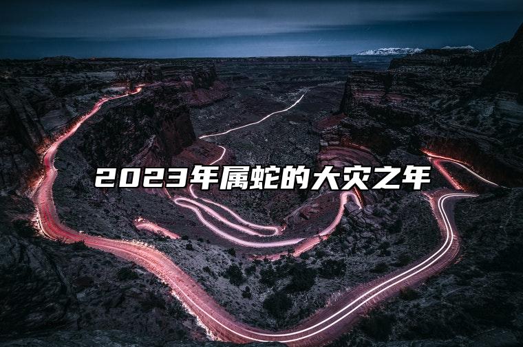 2023年属蛇的大灾之年 属蛇人今年经济压力大有破财危机