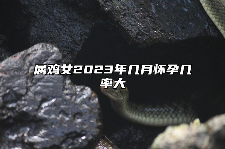 属鸡女2023年几月怀孕几率大 属鸡女2023年犯太岁几月怀孕好