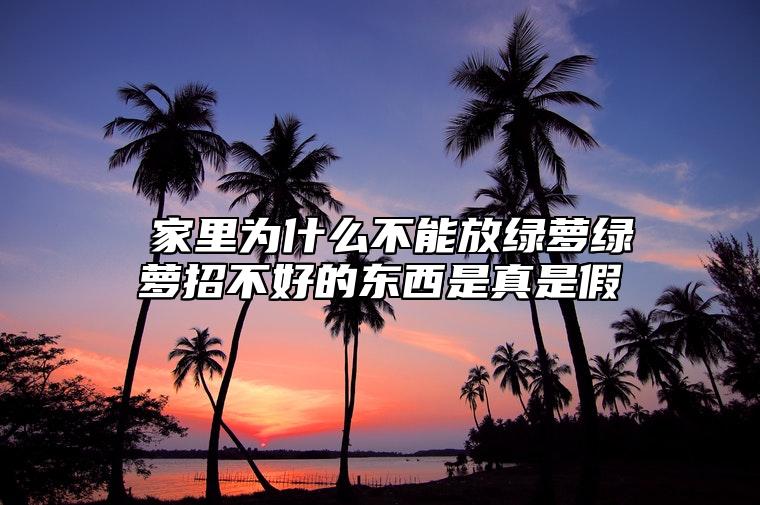 ​家里为什么不能放绿萝？绿萝招不好的东西是真是假？