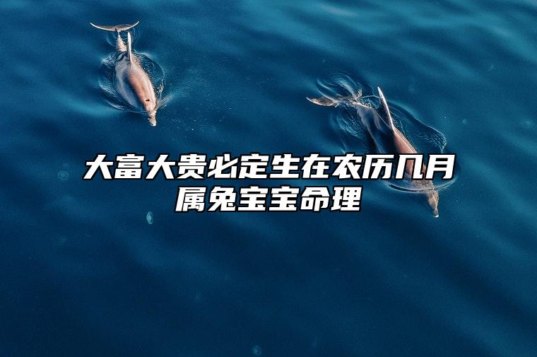 大富大贵必定生在农历几月属兔宝宝命理