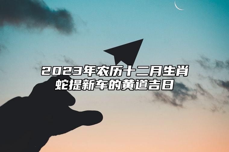 2023年农历十二月生肖蛇提新车的黄道吉日