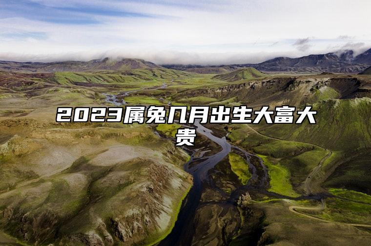 2023属兔几月出生大富大贵 五月出生有意外之财