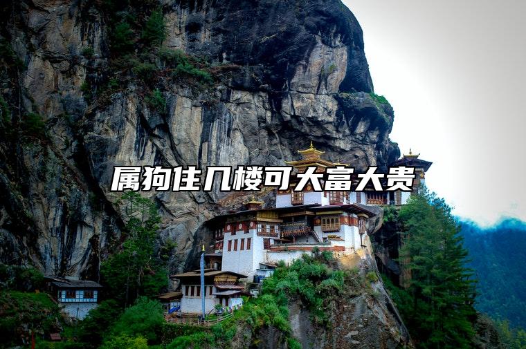 属狗住几楼可大富大贵 在几楼运气最好