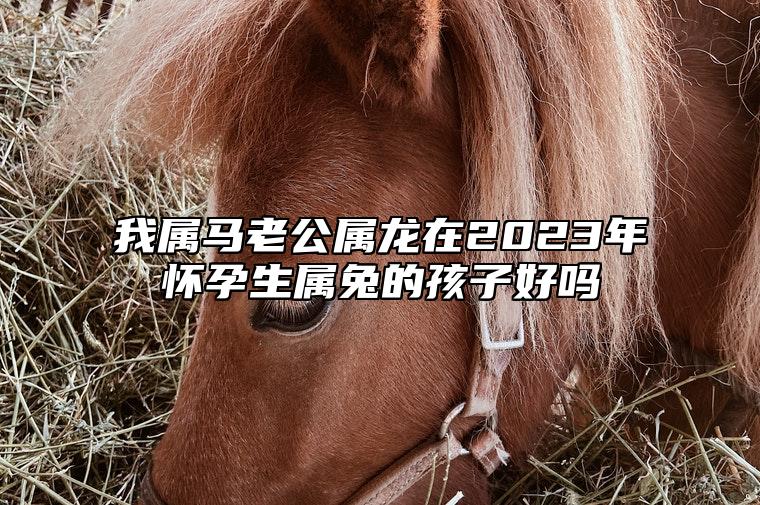 我属马老公属龙在2023年怀孕生属兔的孩子好吗？