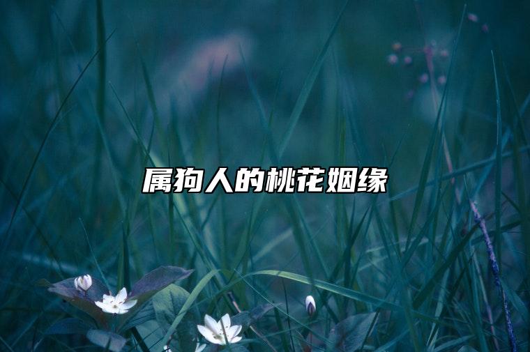 属狗人的桃花姻缘 属狗人的最佳配偶是什么生肖