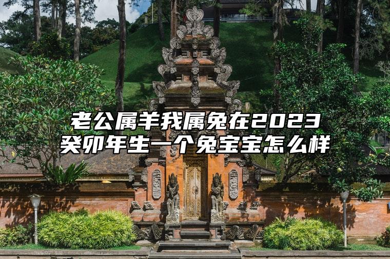 老公属羊我属兔在2023癸卯年生一个兔宝宝怎么样