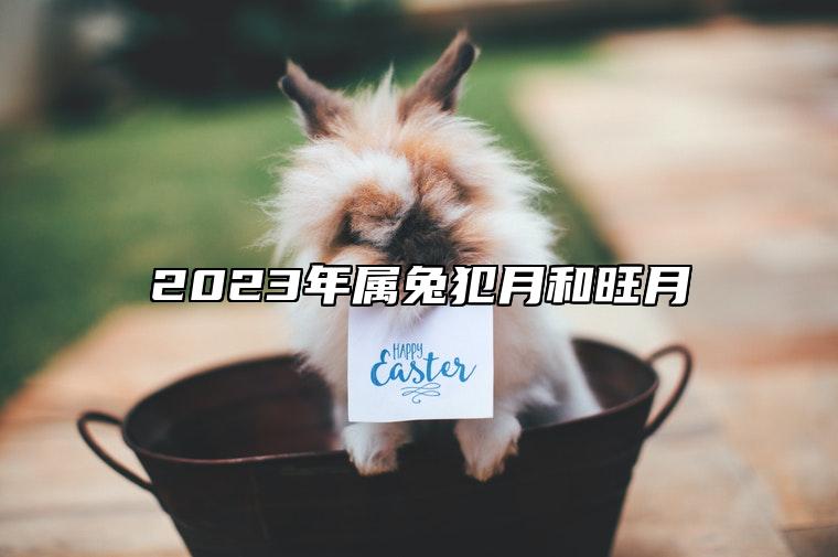2023年属兔犯月和旺月 属兔犯太岁躲星有用吗