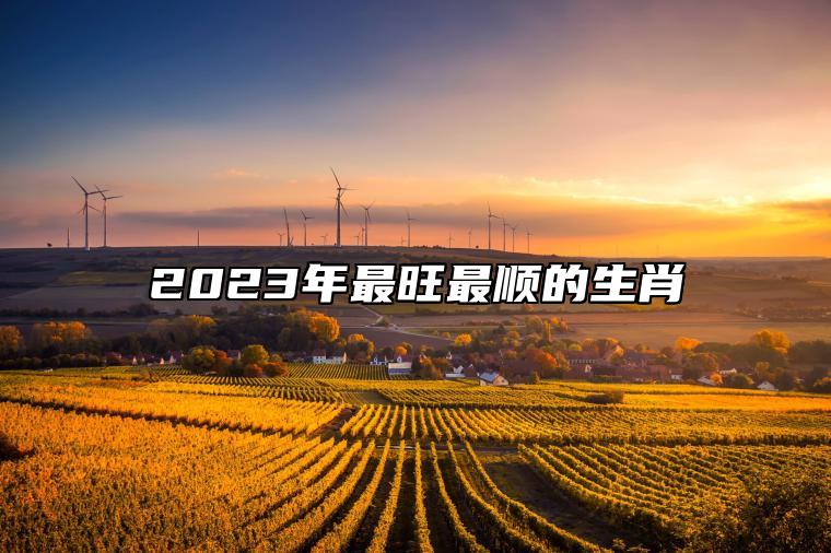 2023年最旺最顺的生肖 癸卯兔年2023哪些属相财气旺运势顺