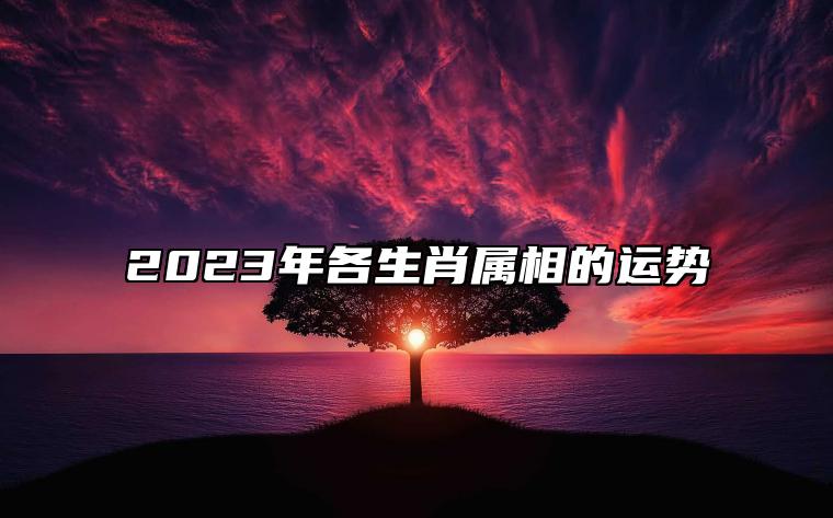 2023年各生肖属相的运势 2023十二生肖运势分析