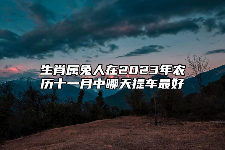 生肖属兔人在2023年农历十一月中哪天提车最好？