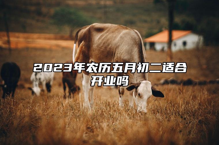 2023年农历五月初二适合开业吗 这天开业好不好