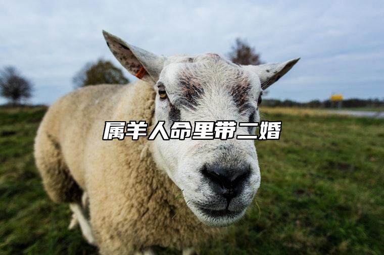 属羊人命里带二婚 为什么属羊人命里带二婚
