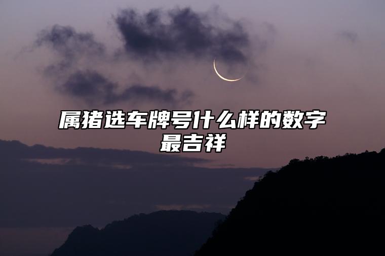 属猪选车牌号什么样的数字最吉祥？