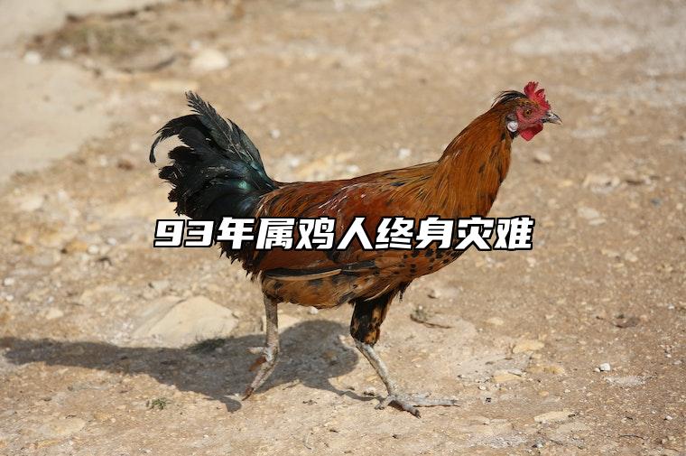 93年属鸡人终身灾难 93年的鸡在2023年躲不过的灾