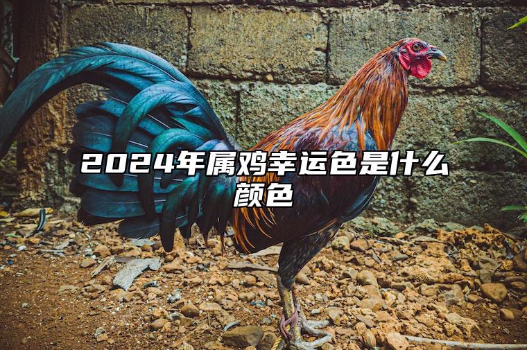 2024年属鸡幸运色是什么颜色 2024属鸡人的全年运势如何