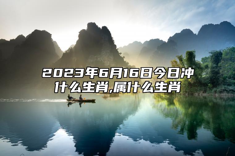 2023年6月16日今日冲什么生肖,属什么生肖 相刑 相合