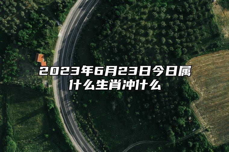 2023年6月23日今日属什么生肖冲什么 相刑 相合