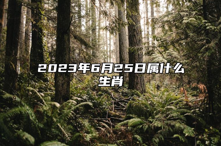 2023年6月25日属什么生肖 今日相冲 相合 相刑生肖
