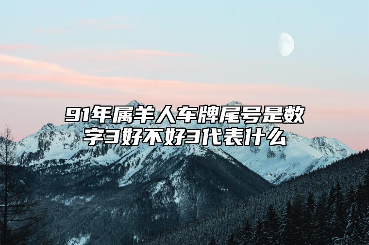 91年属羊人车牌尾号是数字3好不好？3代表什么？