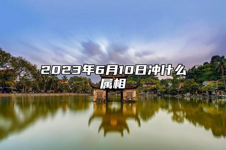 2023年6月10日冲什么属相 黄历生肖冲煞