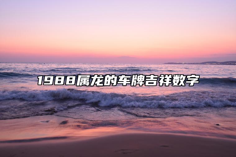 1988属龙的车牌吉祥数字 教你如何挑选车牌号码