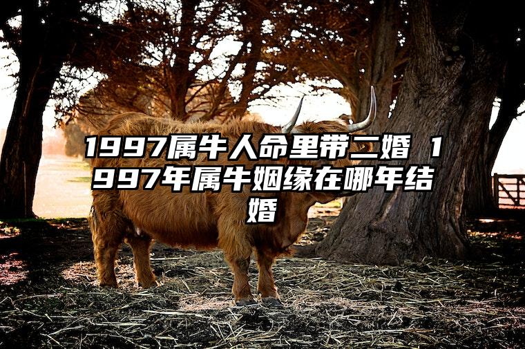 1997属牛人命里带二婚 1997年属牛姻缘在哪年结婚 97年属牛人注定的婚