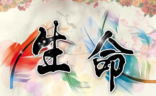 三两一钱女命一生总结