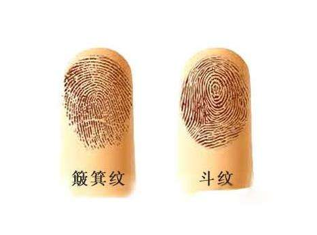 10个簸箕的说法命运